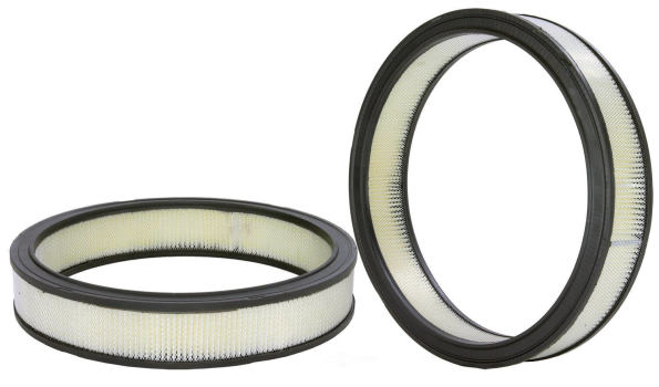 42113 Wix (AIR FILTER)