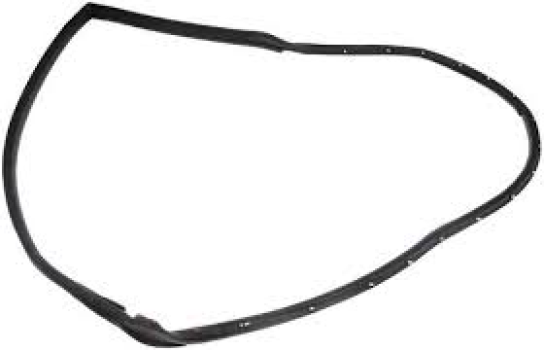 924-443 Dorman (Driver Door Seal)