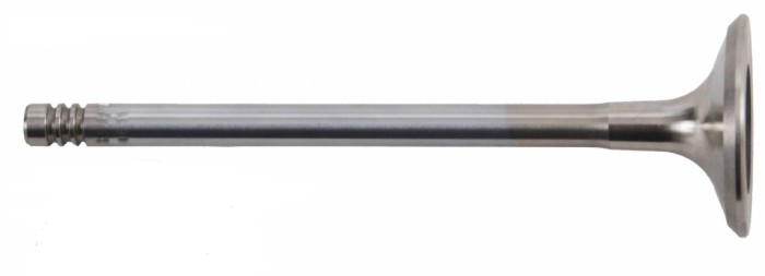53021550AA Mopar (INTAKE VALVE)