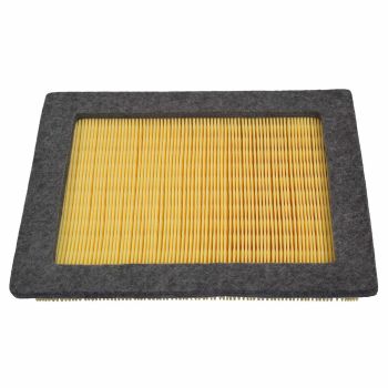 FA1754 Motorcraft (Air Filter)