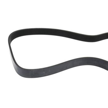12626076 GM (BELT-W/PMP & GEN)