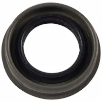 Motorcraft BRS101