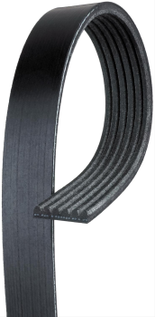 19244950 ACDelco (BELT)