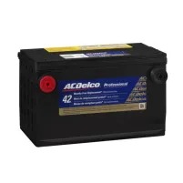 ACDelco 79PG