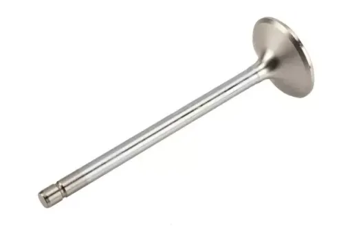 12618110 GM (EXHAUST VALVE)