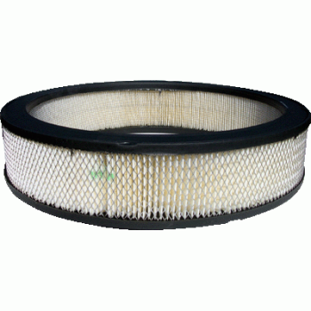 A212CW ACDelco (AIR FILTER)