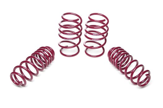 951341 Vogtland (SPORT LOWERING SPRINGS)