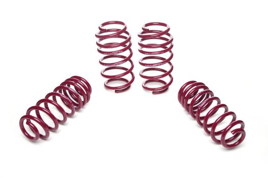 956073 Vogtland (Sport Lowering Springs)
