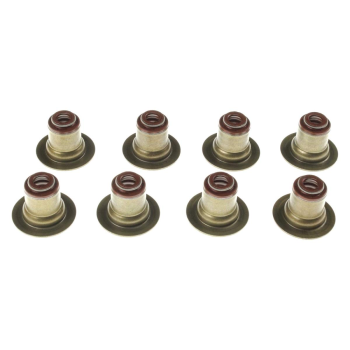12482062 GM (VALVE STEM SEAL)