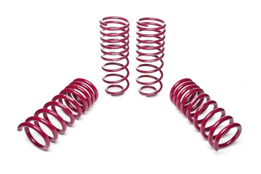 959213 Vogtland (Sport Lowering Springs)