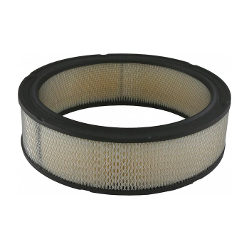 A348C ACDelco (AIR FILTER)