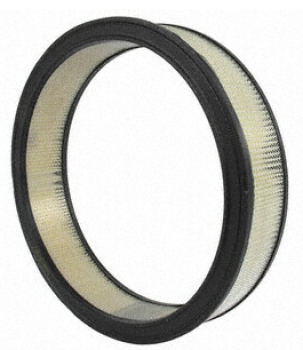 FA612R Motorcraft (Air Filter)