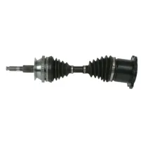 Cardone 66-3318