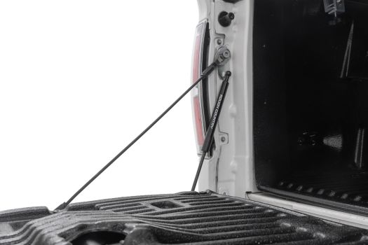 73214 Rough Country (TAILGATE ASSIST | FORD F-150 2WD/4WD (2004-2014))