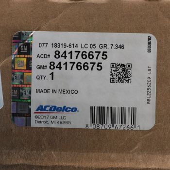 84176675 GM (ABSORBER ASM-RR LVLG SHK)