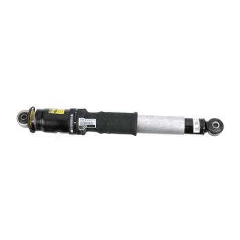 84176675 GM (ABSORBER ASM-RR LVLG SHK)