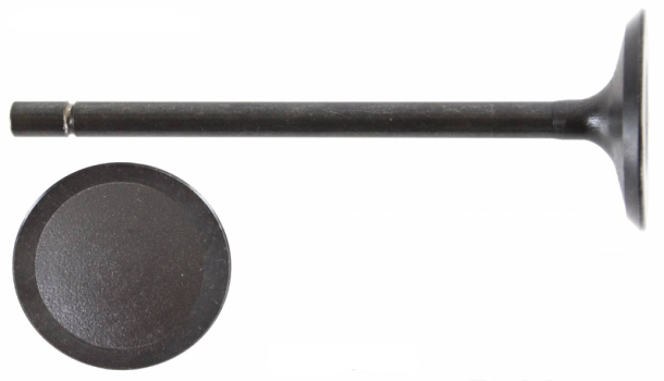 12575354 GM (EXHAUST VALVE)