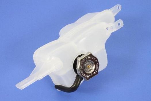 05058157AE Mopar (BOTTLE)