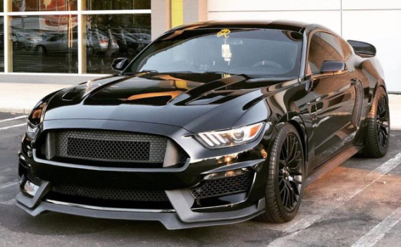 WM777925 Wmax (GT350 Style Front Umbausatz)