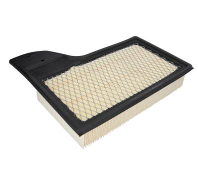 WA10315 Wix (Air Filter)