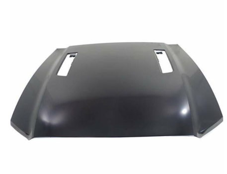 WM770724 Wmax (BOSS Style Motorhaube ohne Gitter)