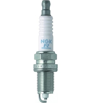 6987 Ngk (SPARK PLUG)