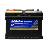 ACDelco 48PG