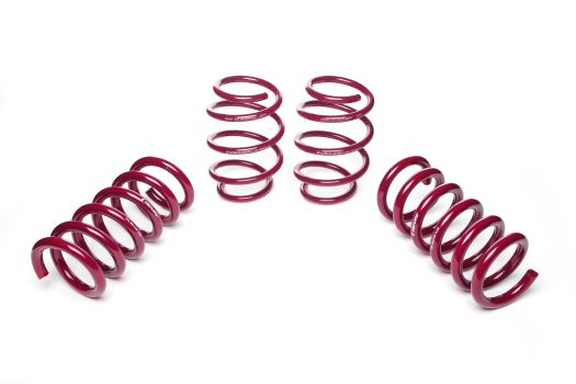 953131 Vogtland (Sport Lowering  Spring Kits 1.5F/ 1.3R 