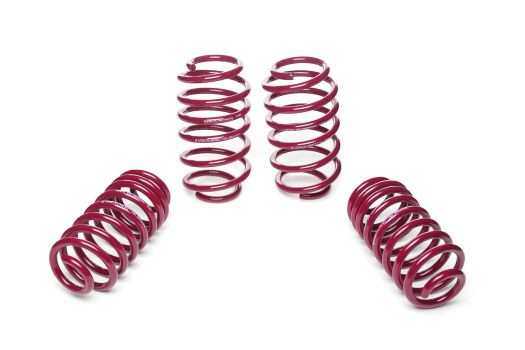 950024 Vogtland (Sport Lowering Springs)