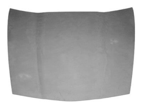 25805421 GM (HOOD ASM)