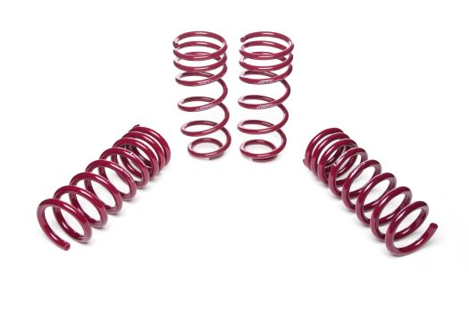 953064 Vogtland (Sport Lowering Springs SN-95)