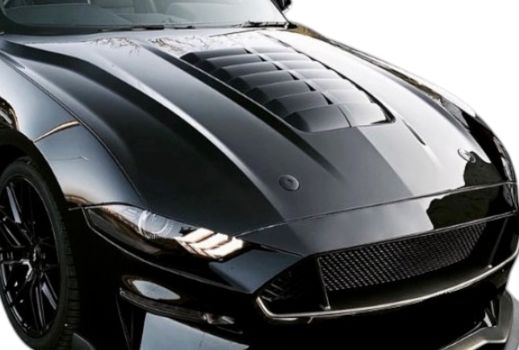 WM777820 Wmax (Motorhaube GT500 Style)