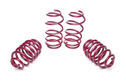 955146 Vogtland (Sport Lowering Springs)