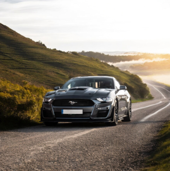 WM777820 Wmax (Motorhaube GT500 Style)