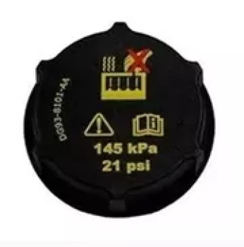 DG9Z8100A Ford (CAP)