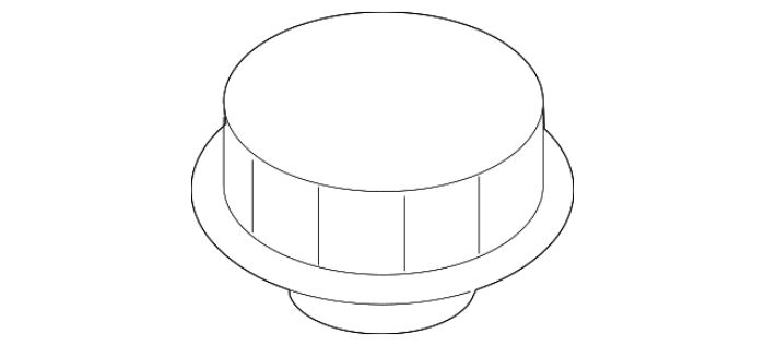 DG9Z8100A Ford (CAP)