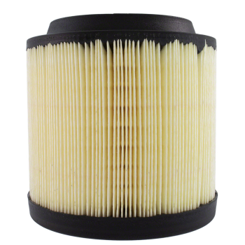 FA2022 Motorcraft (AIR FILTER)