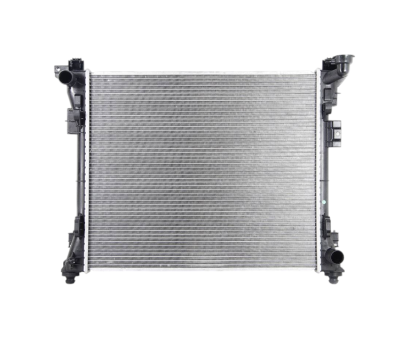 WM013064 Wmax (Radiatore raffreddamento motore)