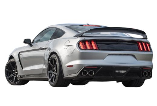 WM677829 Wmax (Spoiler Posteriore GT350R Style)